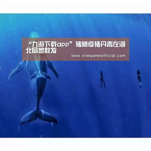 “九游下载app”猪肺疫猪丹毒在湖北局地散发(图1) 九游下载官网