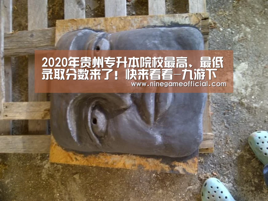 2020年贵州专升本院校最高、最低录取分数来了!快来看看-九游下载官网(图1) 九游下载官网