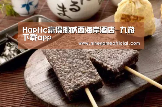 Haptic赢得挪威西海岸酒店-九游下载app(图2) 九游下载app