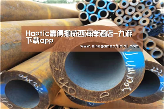 Haptic赢得挪威西海岸酒店-九游下载app(图3) 九游下载官网