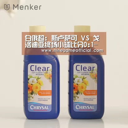 白俄超: 斯卢萨可 VS 戈洛迪亚终场小球比分0:1-九游下载官网(图2) 九游下载官网